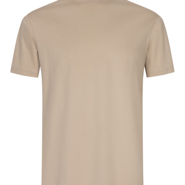 Beige Sheen Sleeve Shirt