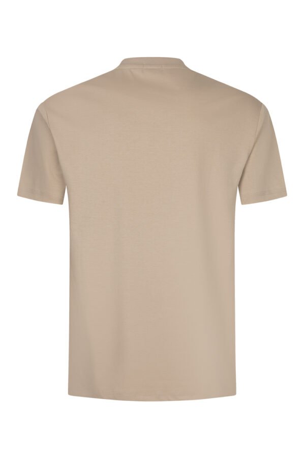 Beige Sheen Sleeve Shirt
