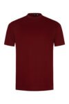 Burgundy Sheen Sleeve Shirt