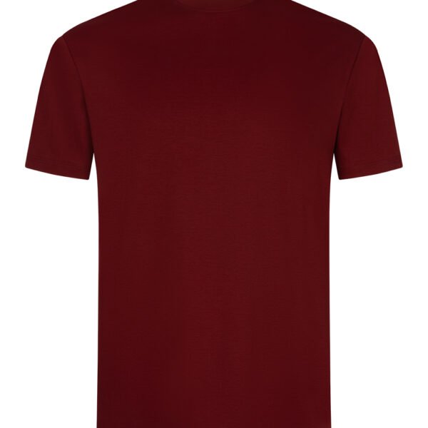 Burgundy Sheen Sleeve Shirt