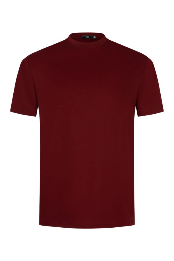 Burgundy Sheen Sleeve Shirt