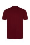 Burgundy Sheen Sleeve Shirt