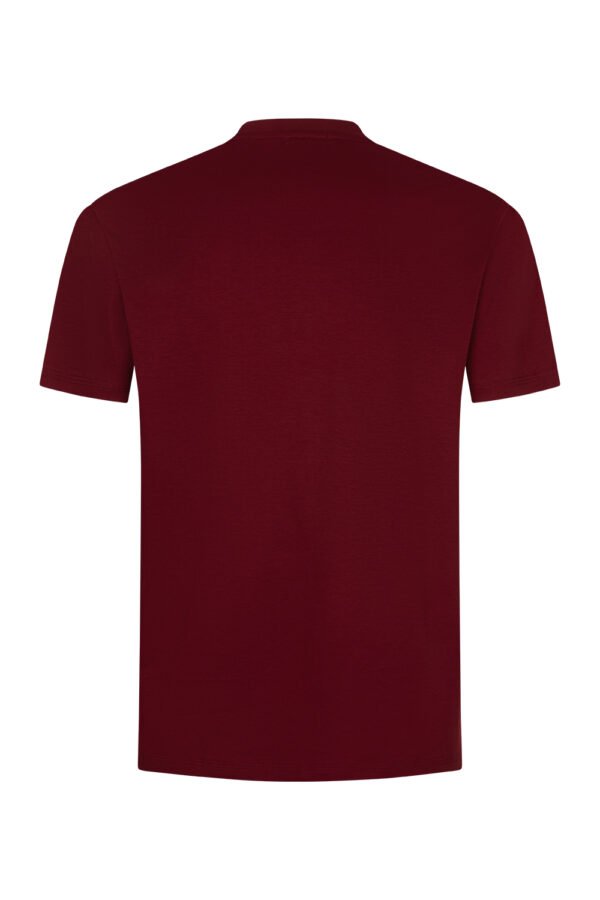 Burgundy Sheen Sleeve Shirt