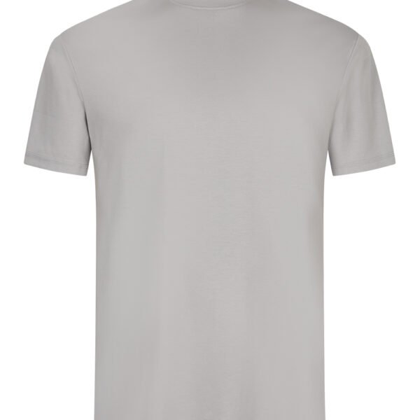Light Grey Sheen T-Shirt
