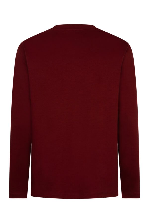 Burgundy Sheen Long Sleeve Shirt