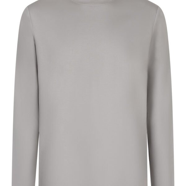 Light Grey Sheen Long Sleeve Shirt